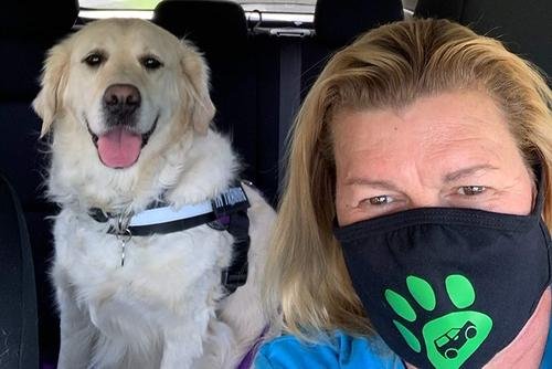 a happy dog and driver after a completed pet transport service