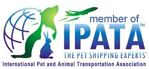 pet relocation services, pet transportation, pet travel